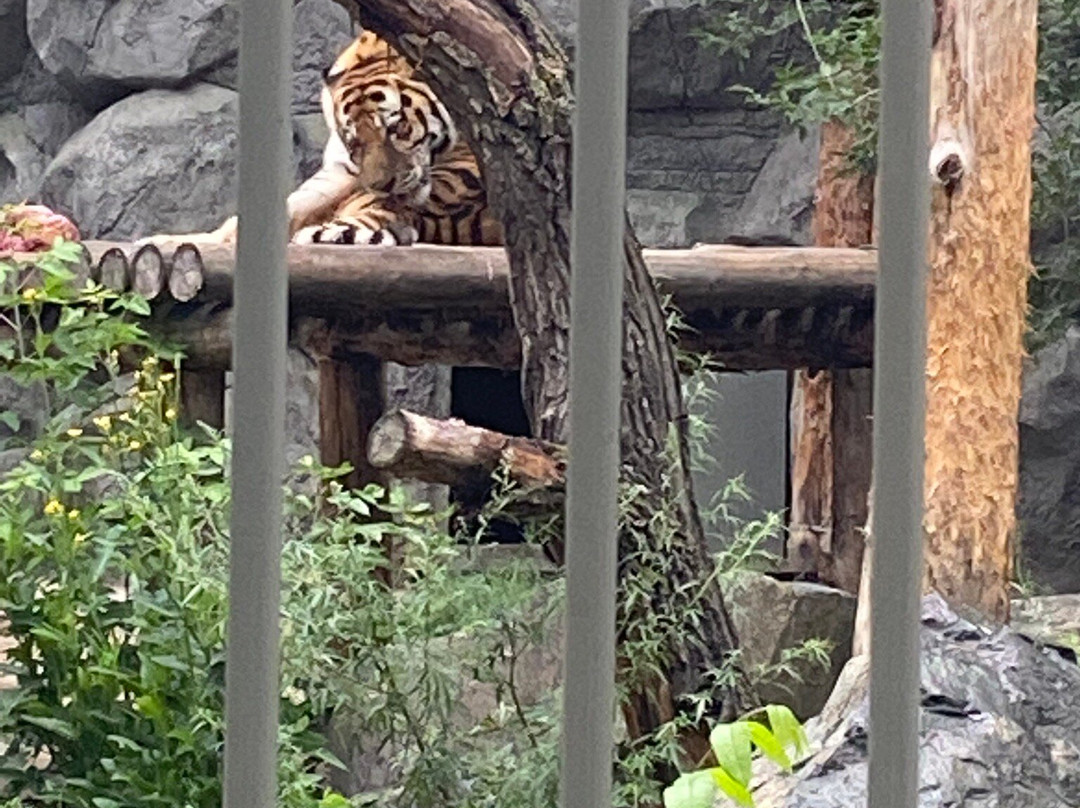 Novosibirsk Zoo景点图片