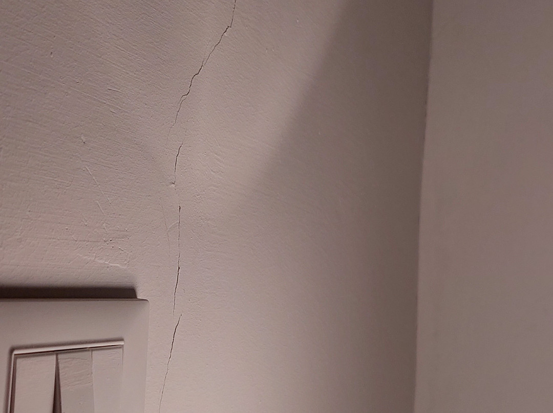 La Gatta sul Tetto主图