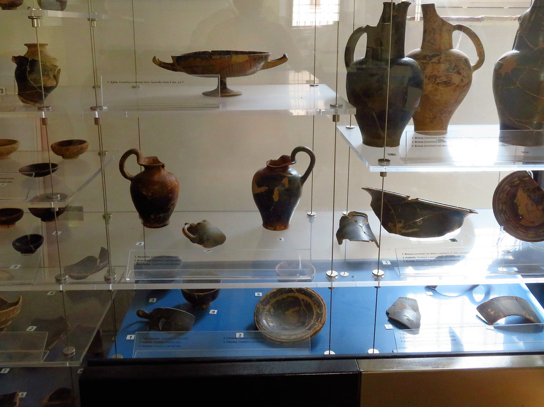Museo Civico Archeologico R. Lamrechts-Artena必去景点