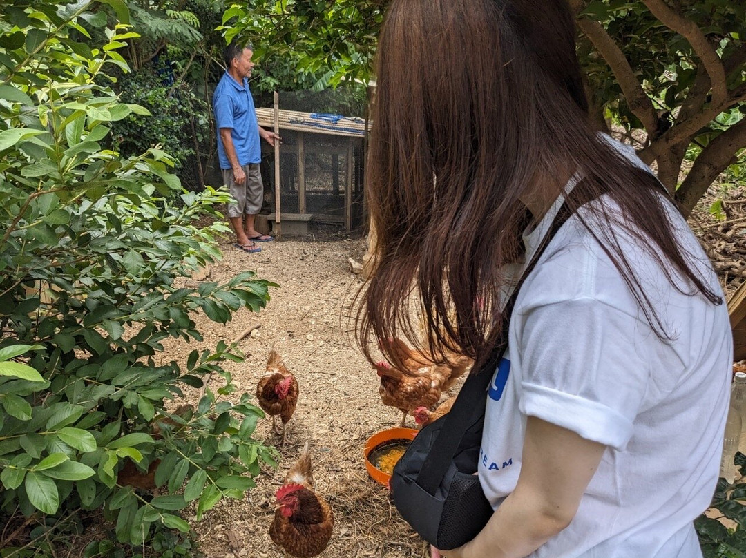 MInshuku Agatamura主图