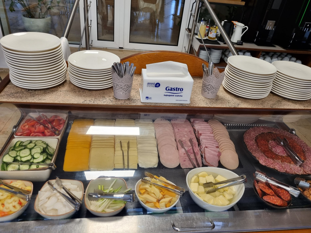 Bastya Wellness Hotel Superior主图