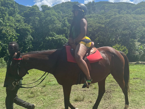 Island Treasure Tours & Excursions LTD-蒙特戈贝必去景点