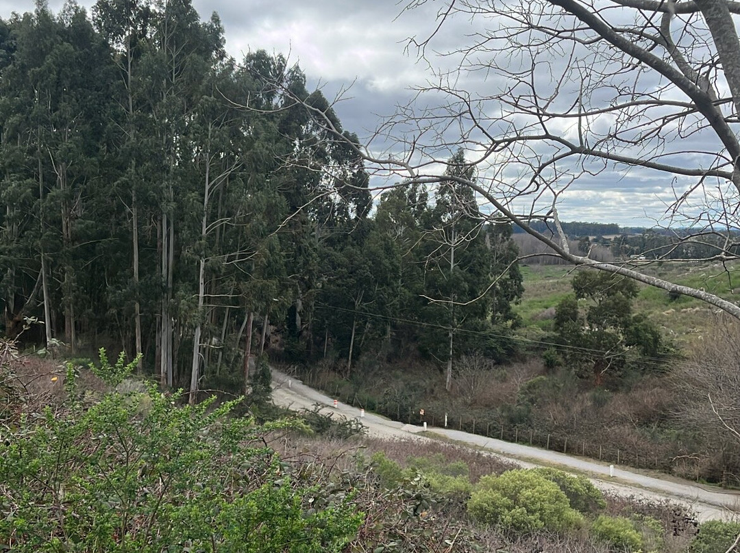 Sendero de Las Animas景点图片