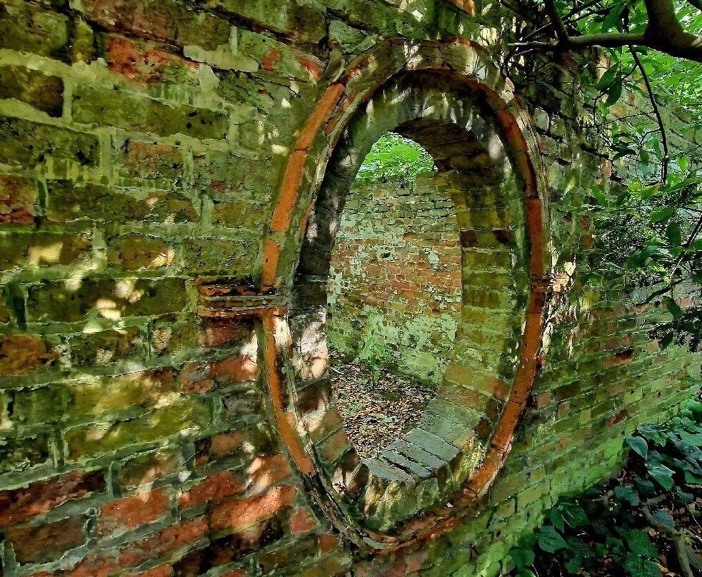Warley Place Nature Reserve景点图片