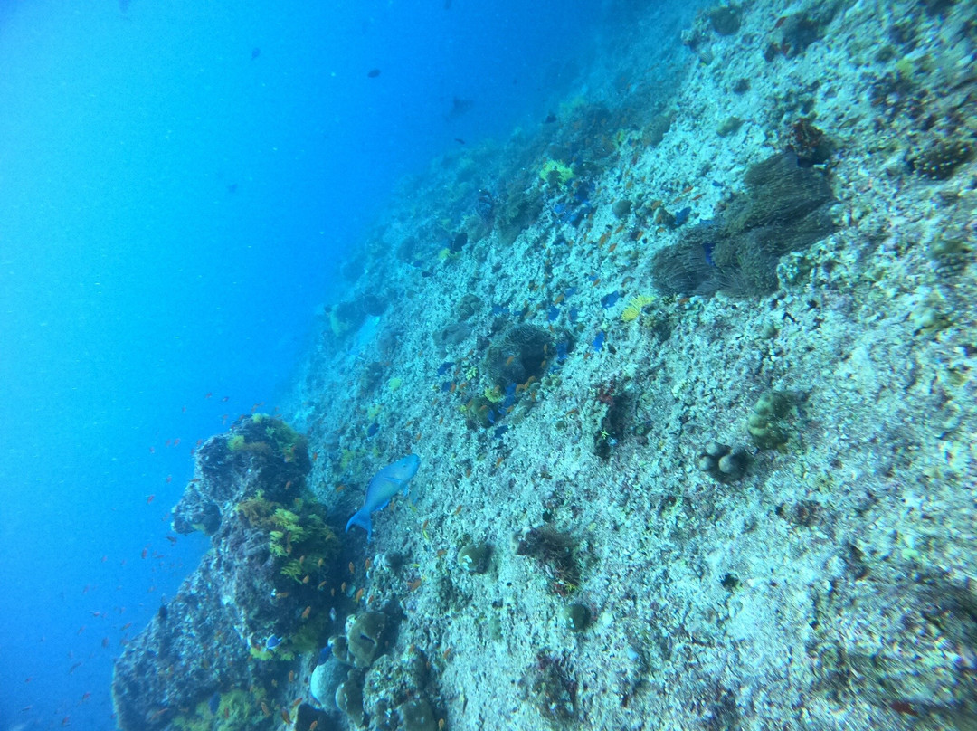 Dive Butler Finolhu-Kanufushi必去景点