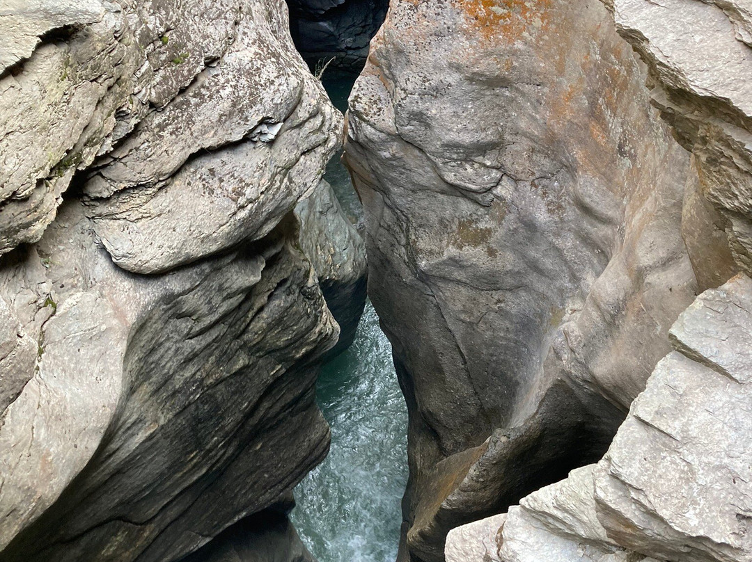 The Cavaglia Glacier Garden景点图片