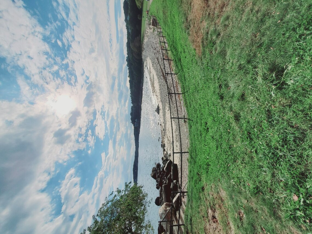 Stage Fort Park and Beach景点图片