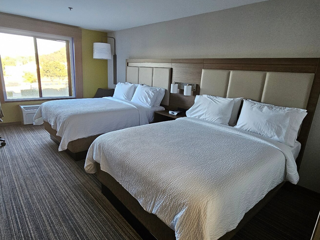 阿塔斯卡戴罗智选假日套房酒店主图