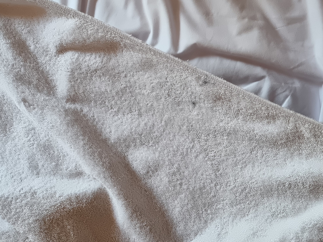 Wana Shanti Villa主图