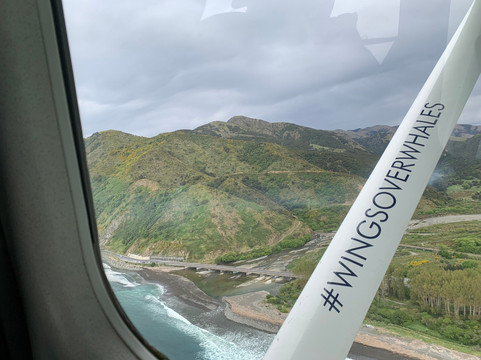 Wings Over Whales-Kaikoura必去景点