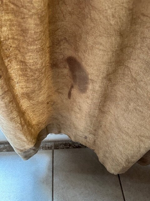 Pestana Kruger Lodge主图