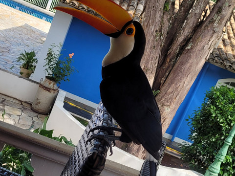 Juca Mulato Park-Itapira必去景点