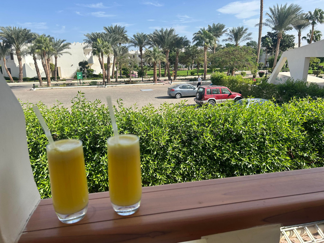 Swiss Inn Resort Dahab主图