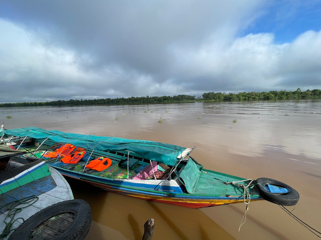 Barito River景点图片