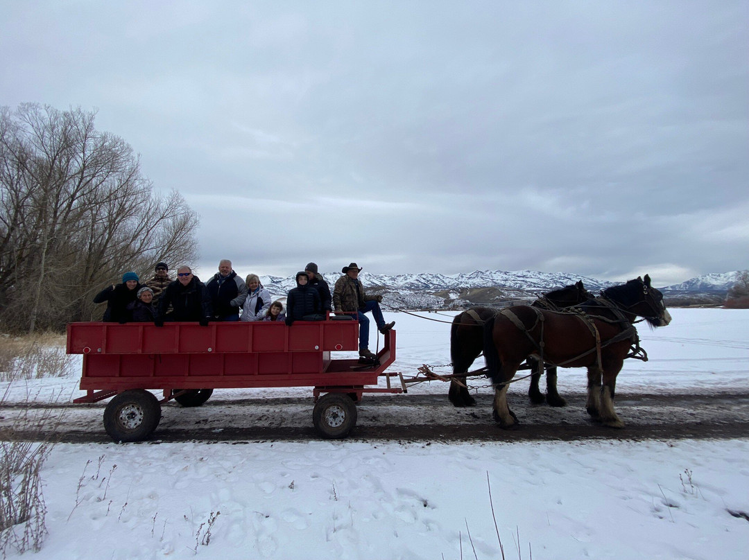 Thurston Farms-Morgan必去景点