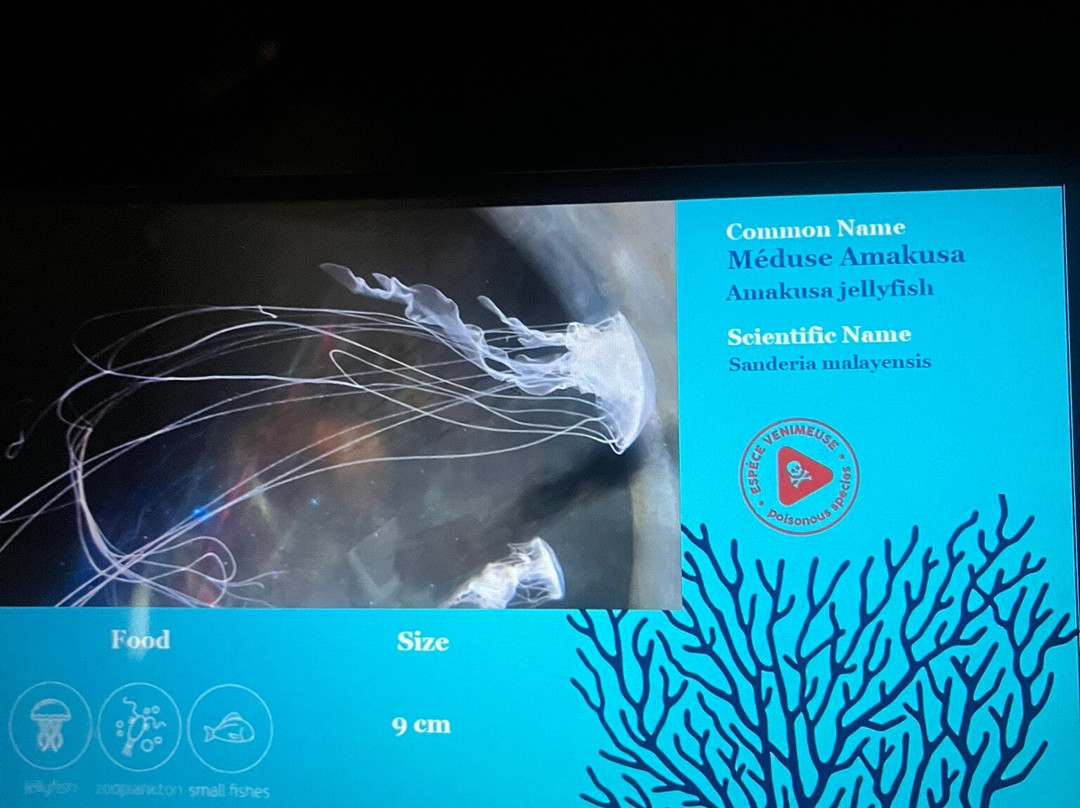 Mauritius Aquarium景点图片