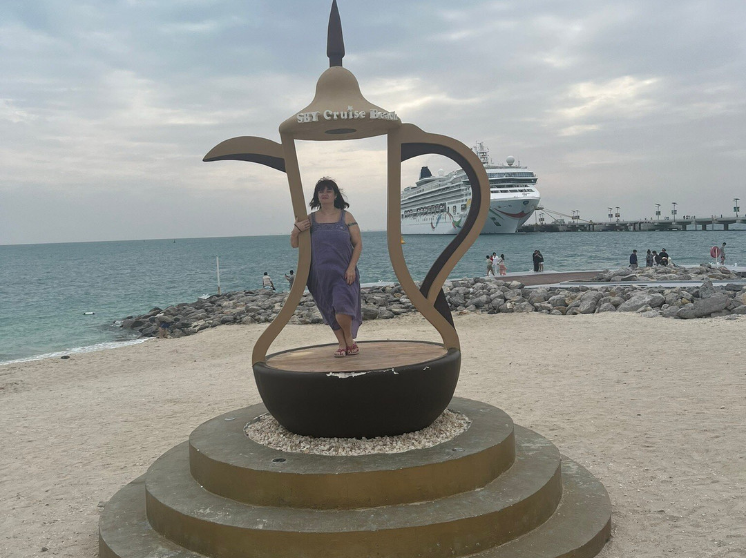 Sir Bani Yas Cruise Beach景点图片