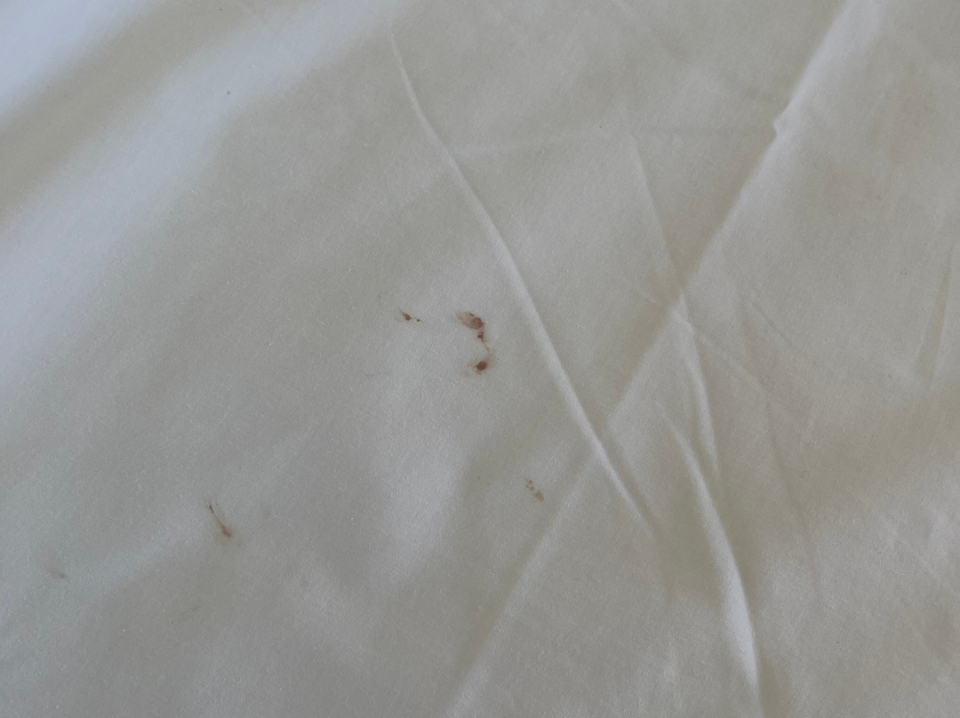 莫纳布丽精品度假村主图