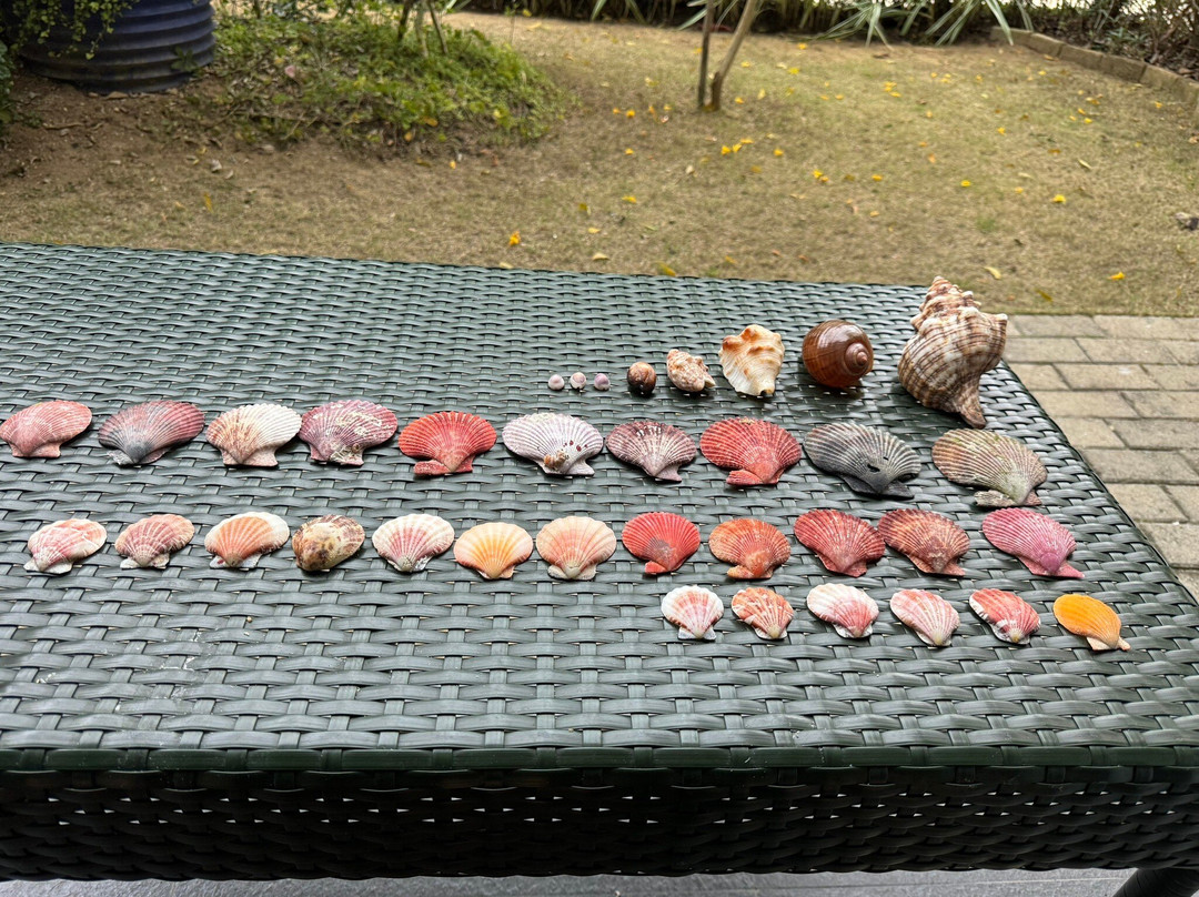 Golden Sands Destination Resorts主图