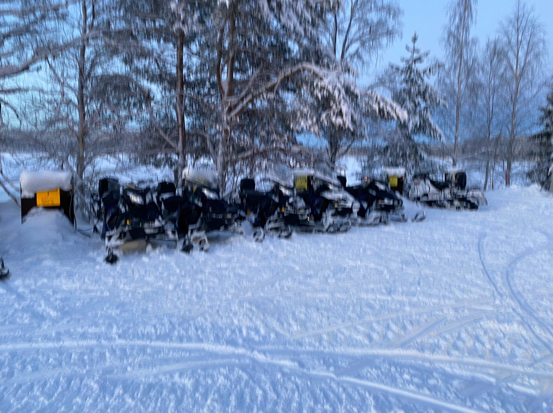 Aurora eMotion - Electric Snowmobile Safaris-罗瓦涅米必去景点