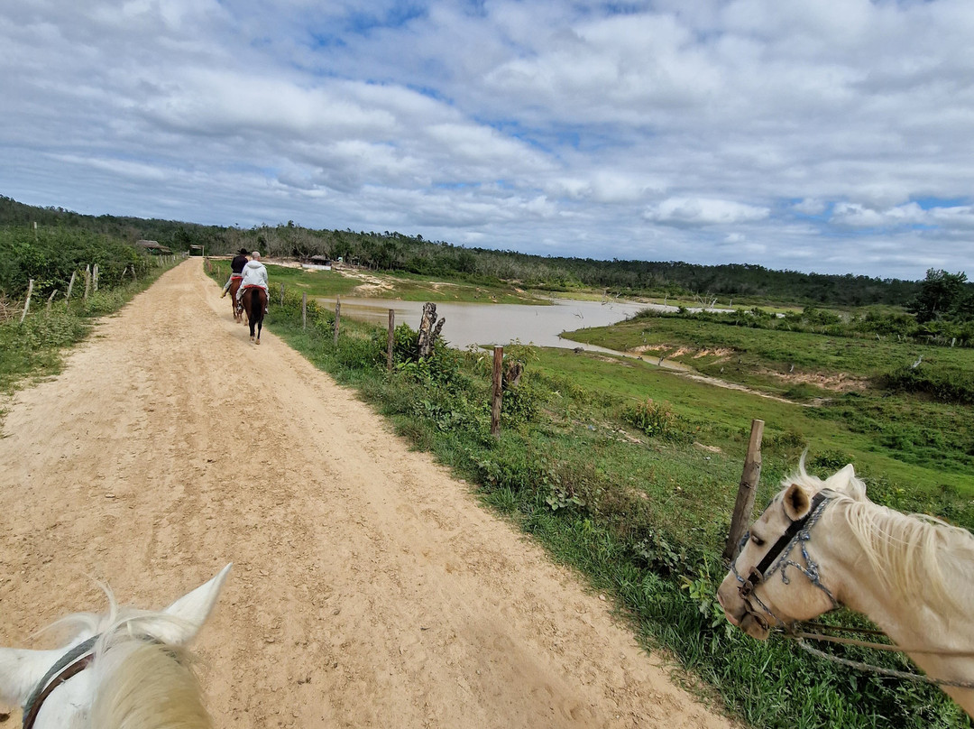 Viñales Excursions景点图片