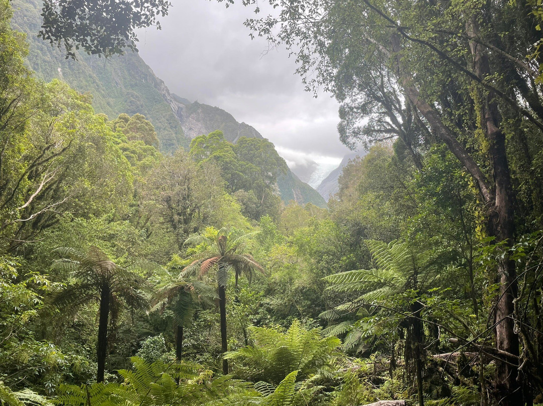 Fox Glacier South Side Walk景点图片