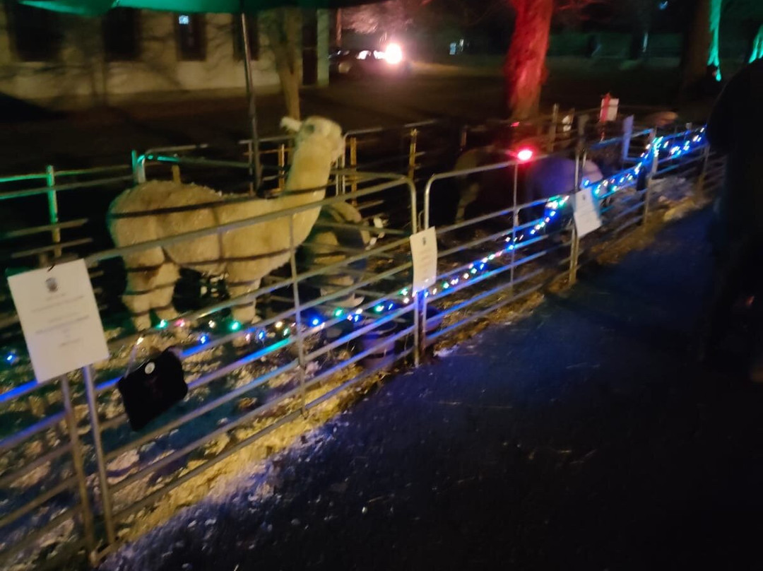 Duneane Community Garden-Toome必去景点