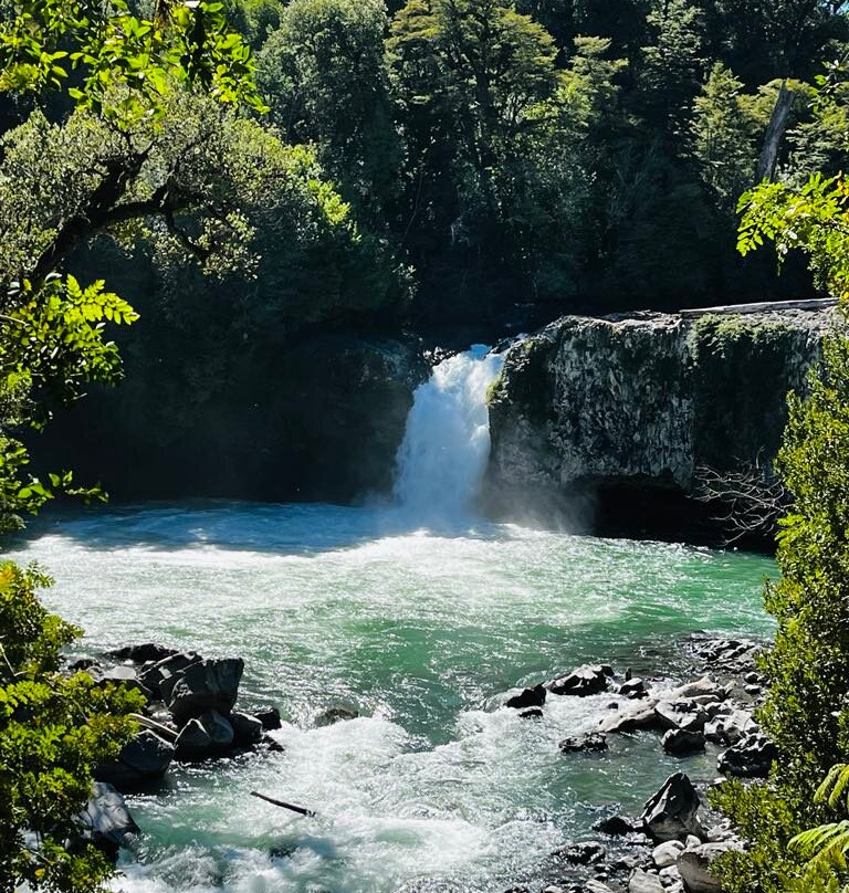 Parque Nacional Puyehue-Puyehue必去景点