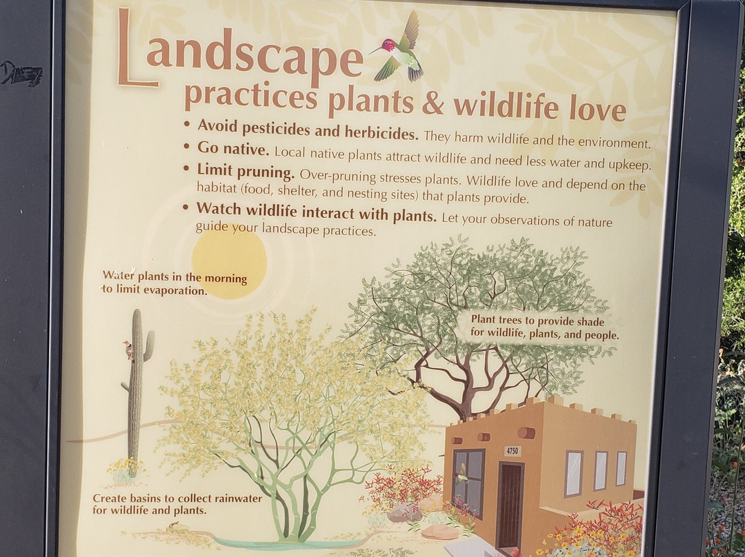 Xeriscape Botanical Gardens-格兰岱尔必去景点