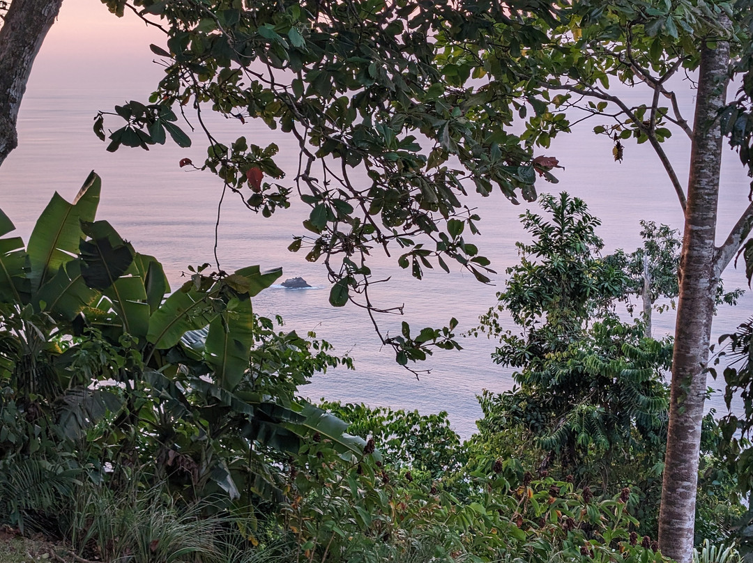 Bosque del Cabo Rainforest Lodge主图