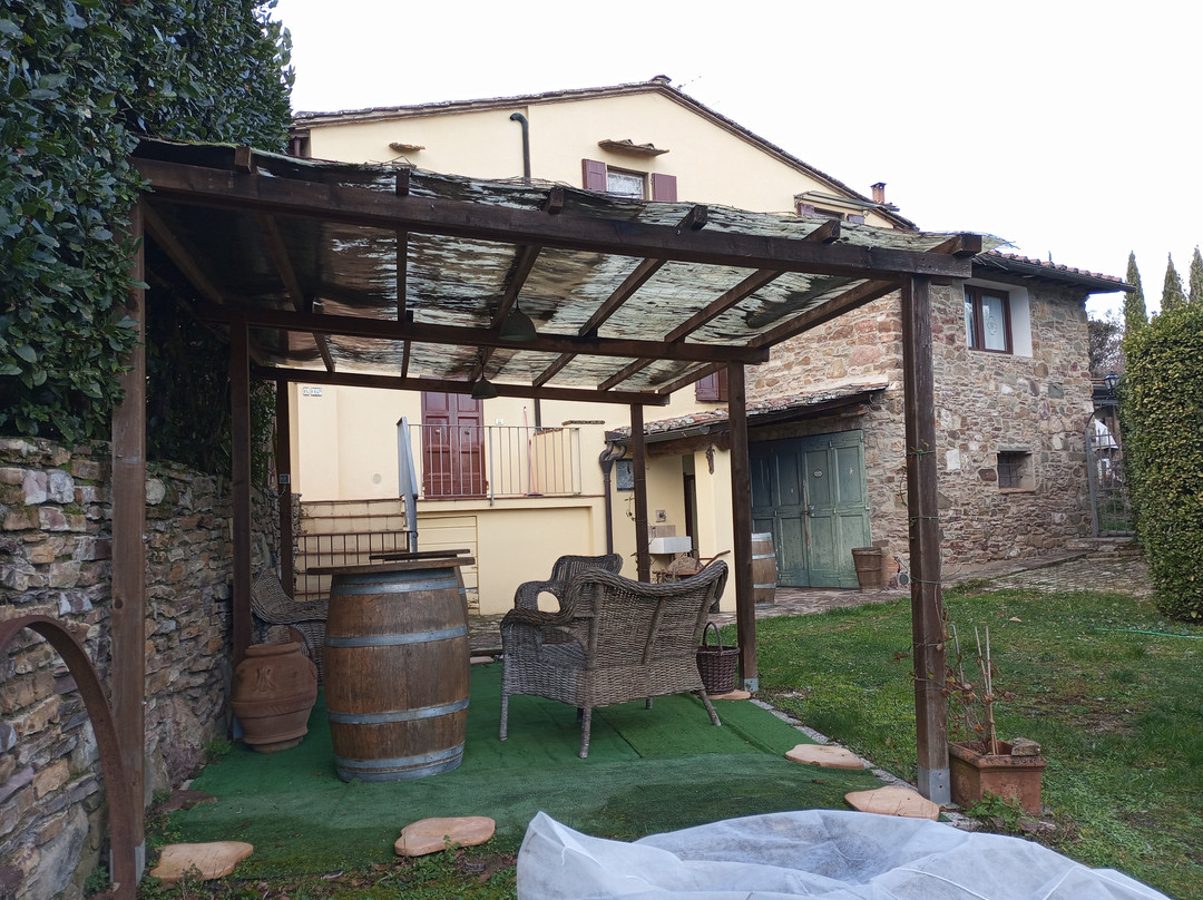 Lionforti da Vico主图