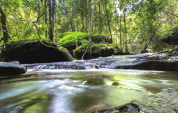 Tranh Stream-扬东必去景点