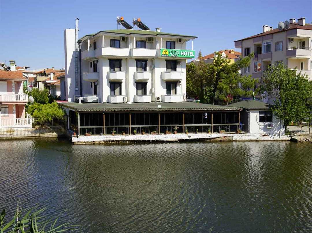 Olive Branch Hotel