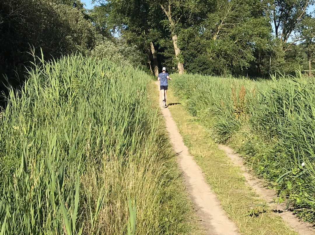 Park de Oeverlanden-阿姆斯特丹必去景点