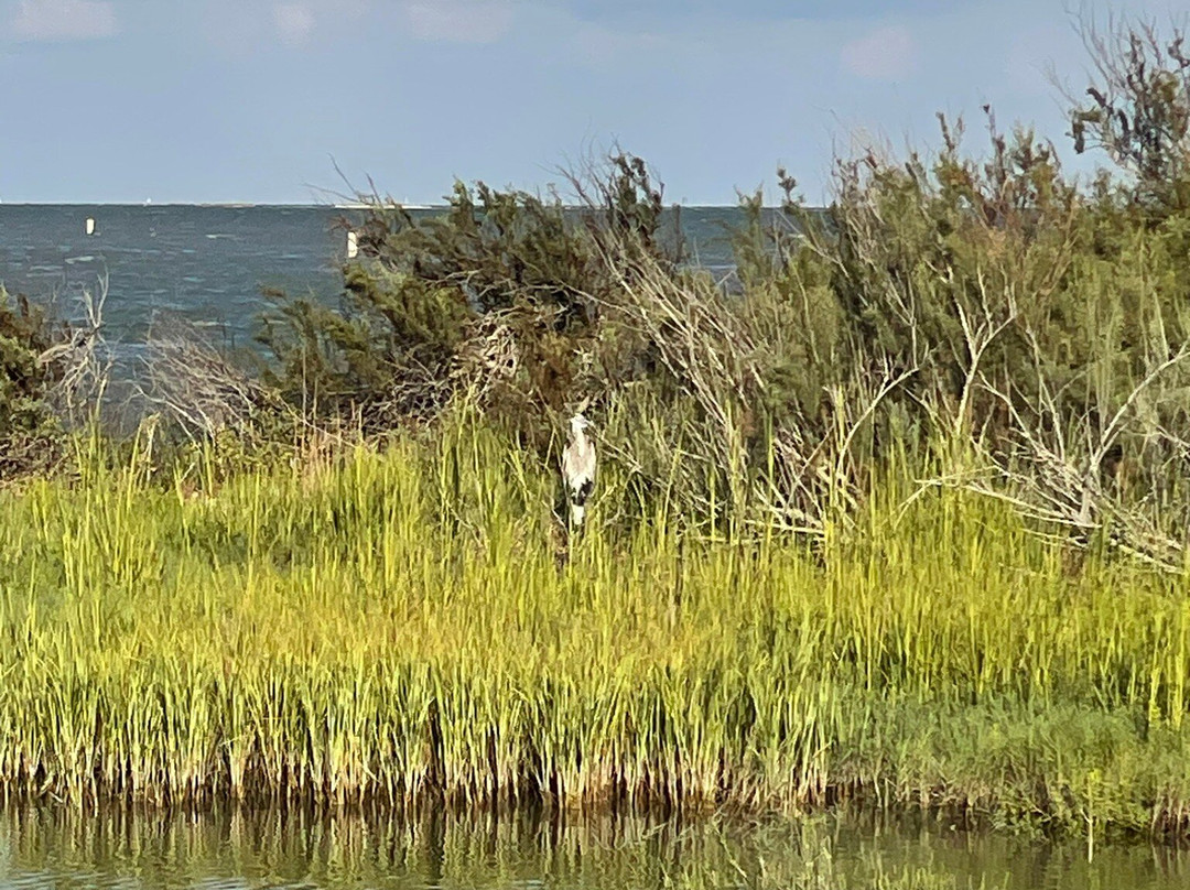 Goose Island State Park-罗克波特必去景点
