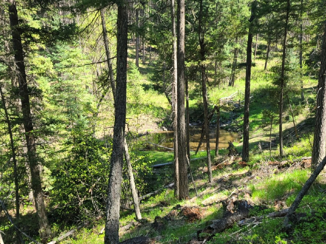 Kettle River Recreation Area景点图片