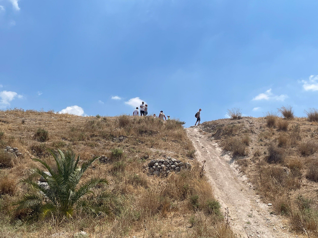 Atlantis Travel - Day Tours-Bat Yam必去景点