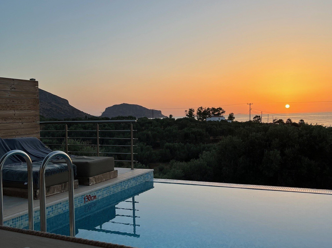 Manifesto Suites主图