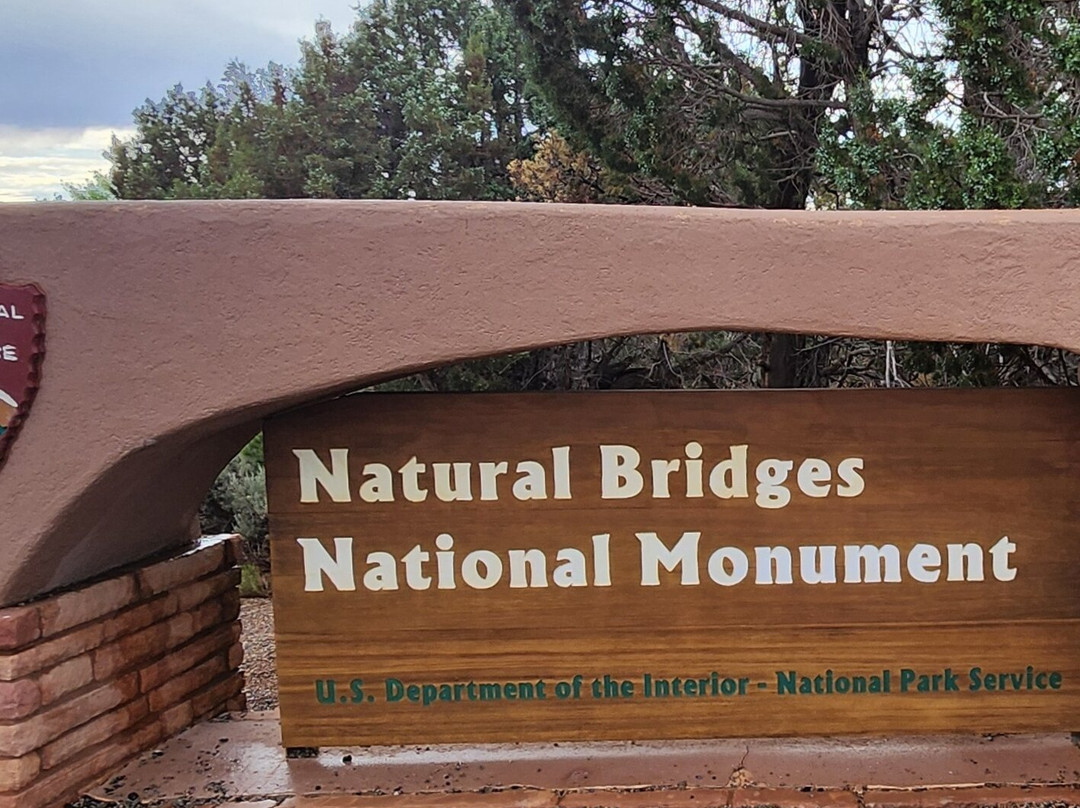 Natural Bridges National Monument-布兰丁必去景点