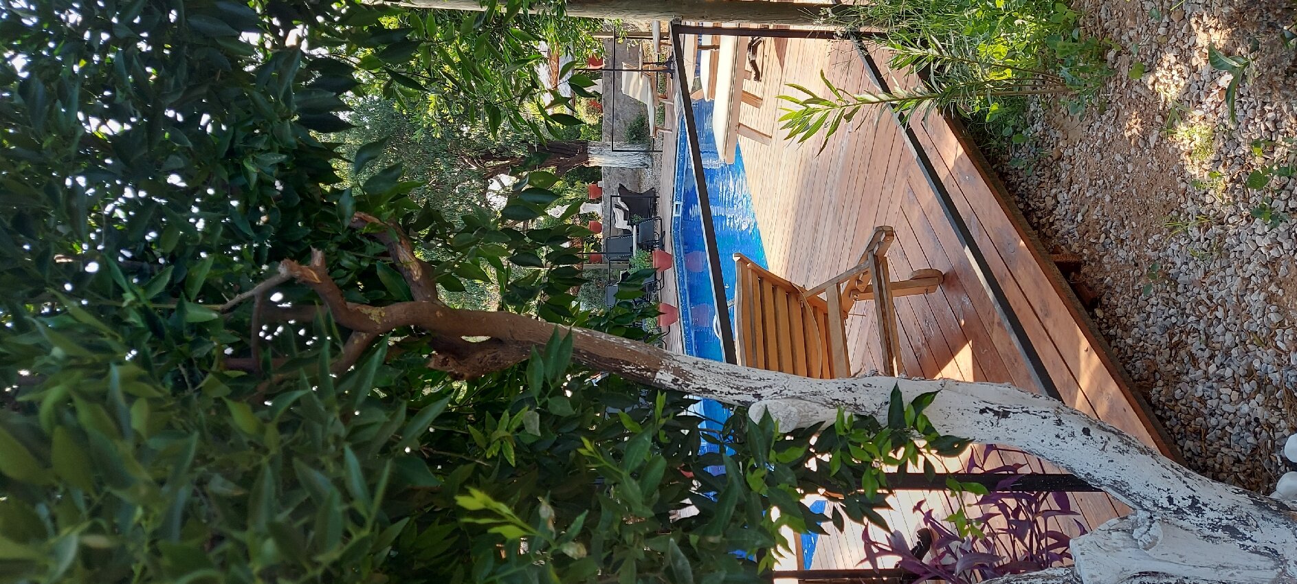 Gaia Tiny Houses Hotel-官方