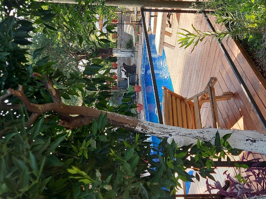 Gaia Tiny Houses Hotel主图