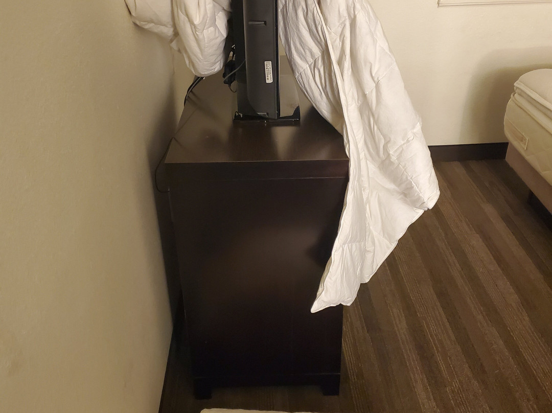 Hyatt  House Dallas/Addison主图