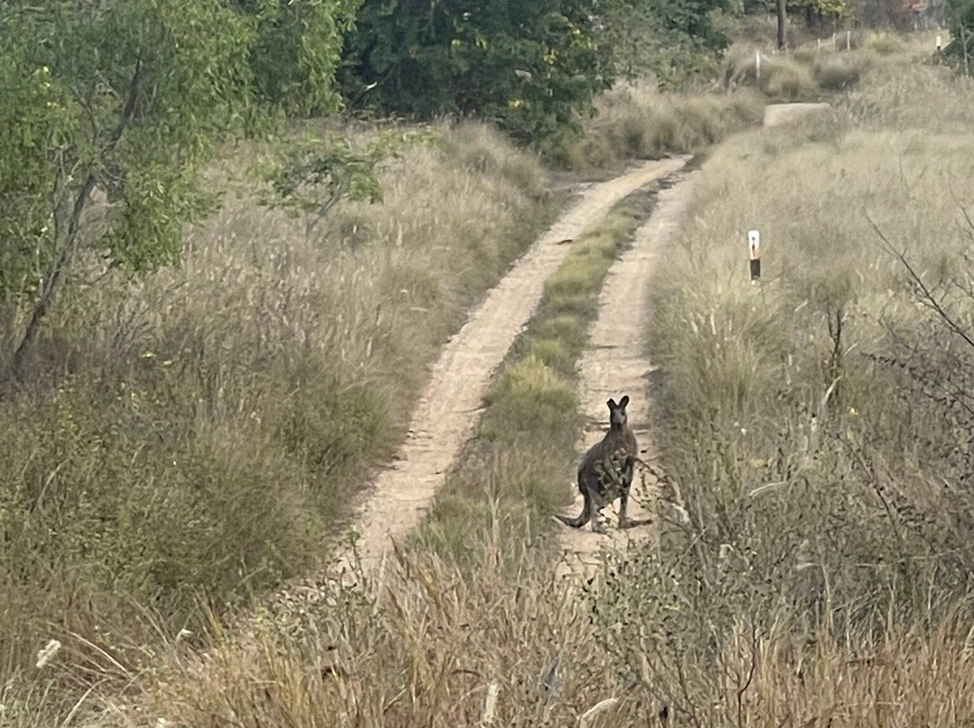 Towers Hill Lookout-查特斯堡必去景点