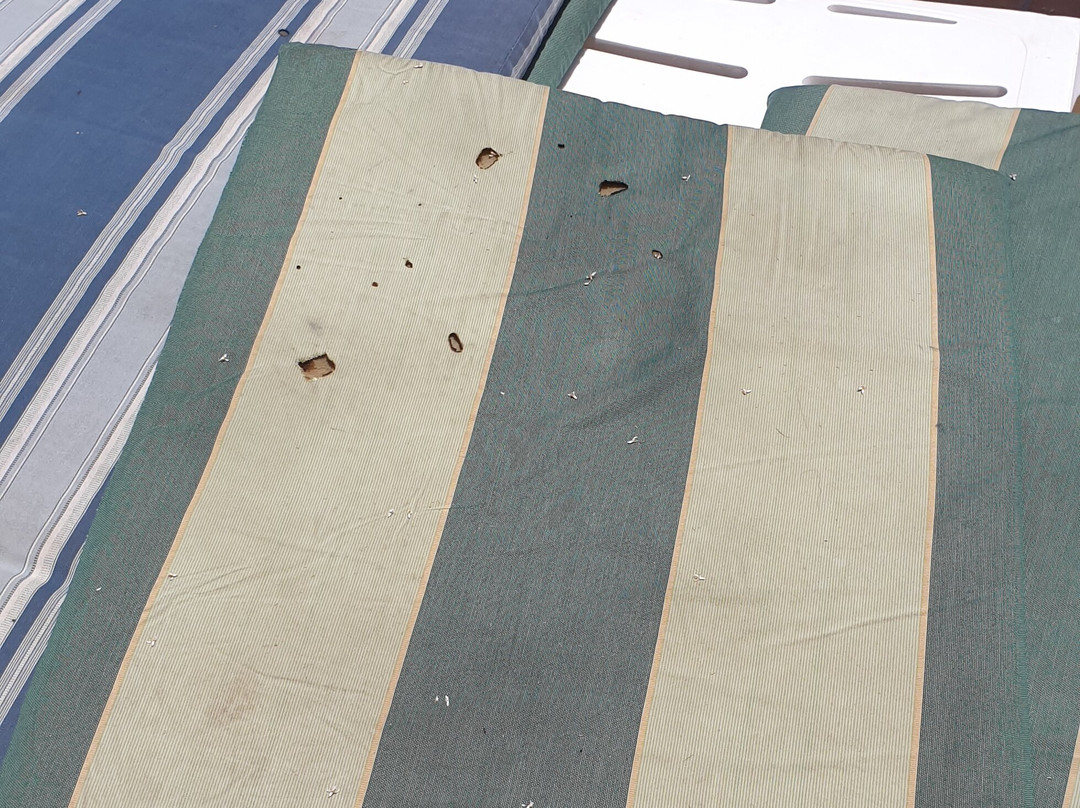 Jiyeh Marina Resort Hotel & Chalets主图