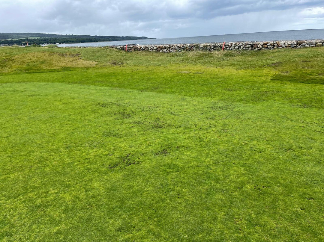 Golspie Golf Club景点图片