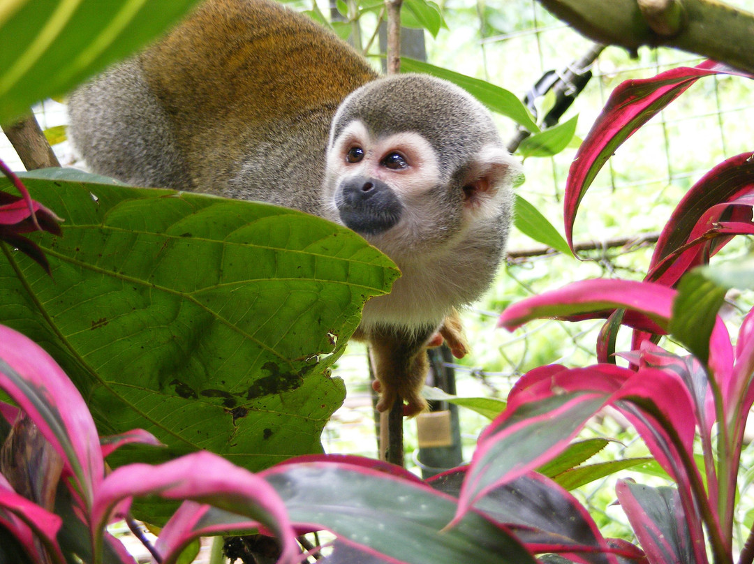 Aningatravel Baños-Ecuador-巴尼奥斯必去景点