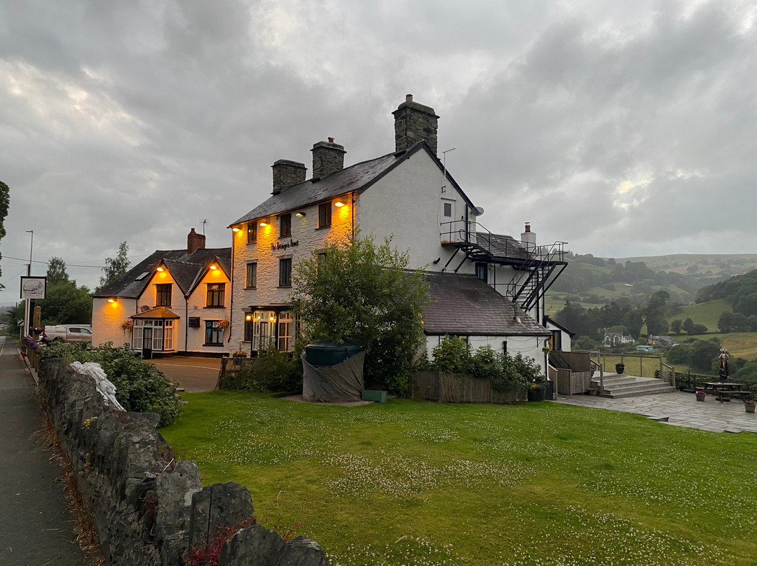 The Berwyn Arms主图