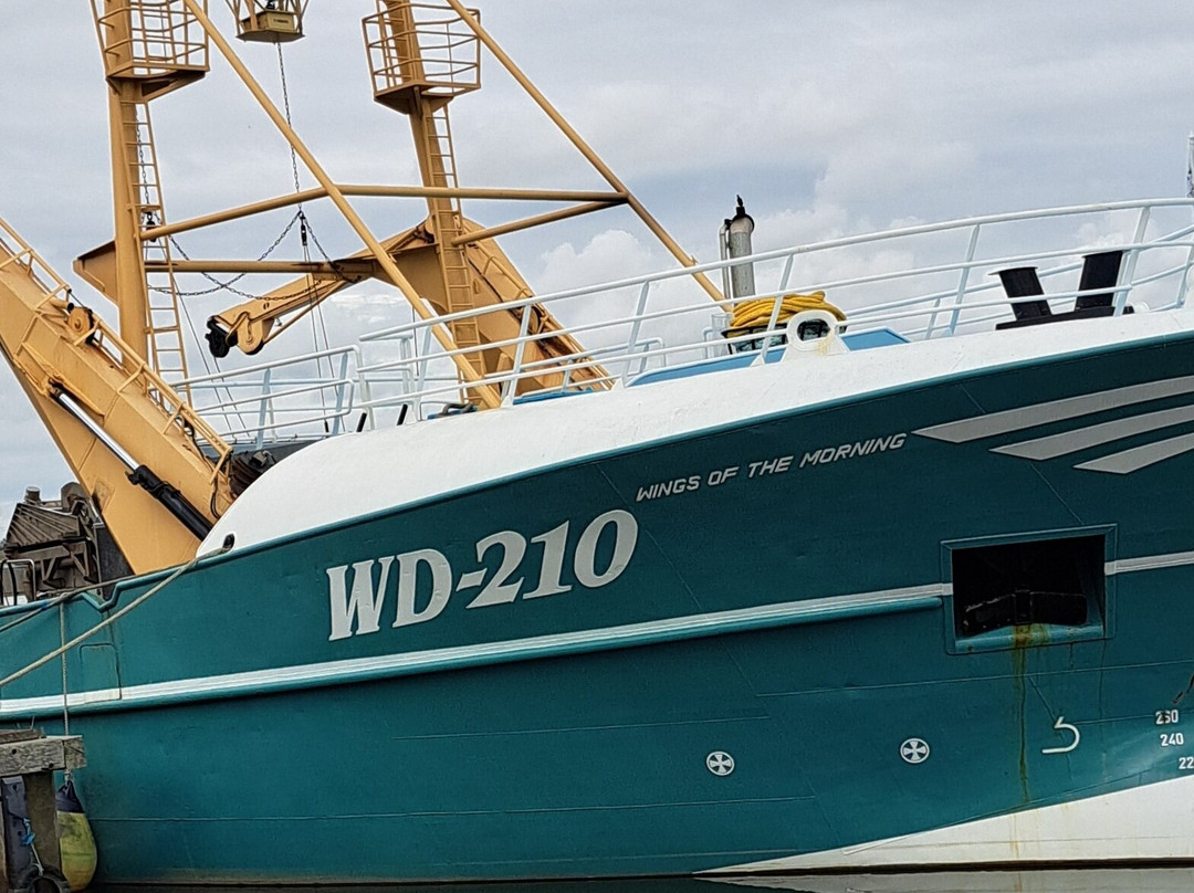 Wexford Harbour-韦克斯福德必去景点