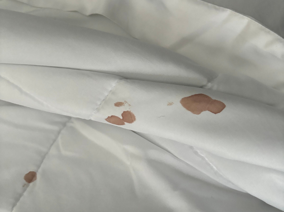 Comfort Suites Ocala North主图