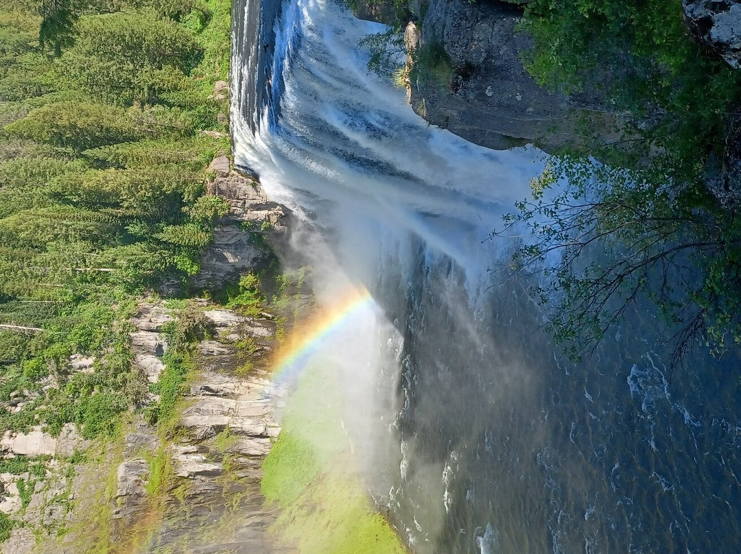 Mesa Falls景点图片